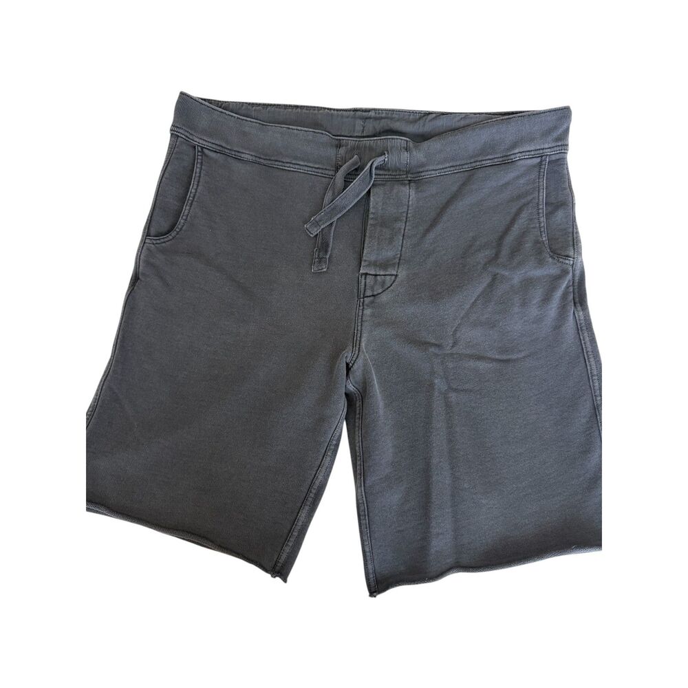 J.Crew Broken-in Fleece Dock Shorts Men's M Drawstring Button Fly Dusty Blue
